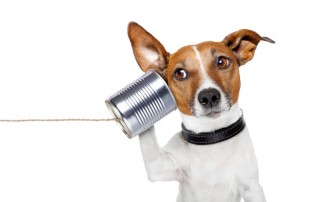 call monitoring