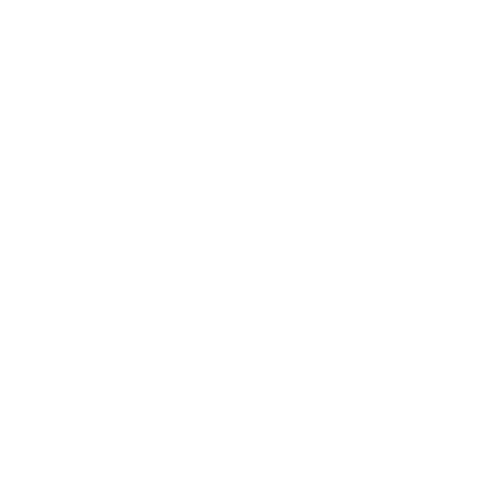 icon_money