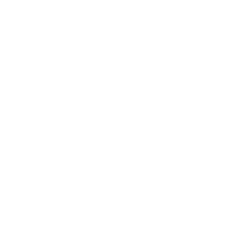 icon_support